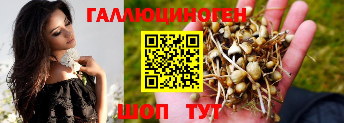 Галлюциногенные грибы прущие грибы  Галлюциногенные грибы Cubensis  Кострома  Вход с VPN 