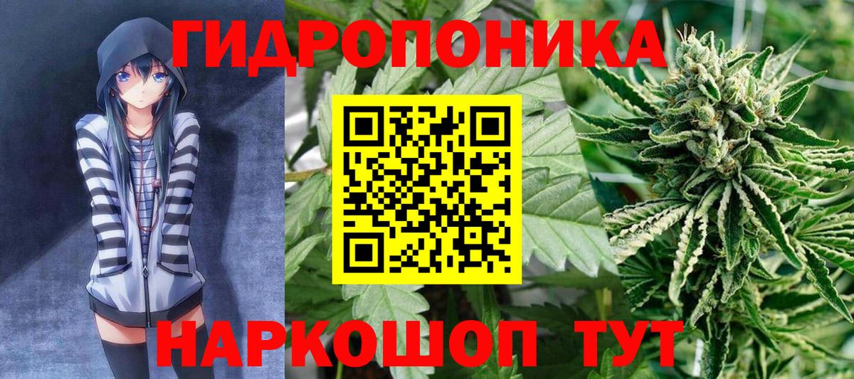 Каннабис марихуана  Канабис сатива  Канабис SATIVA & INDICA  Вход с VPN  Кострома 